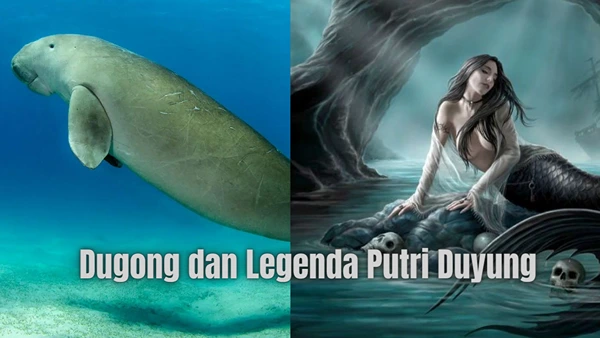 dugong dan putri duyung